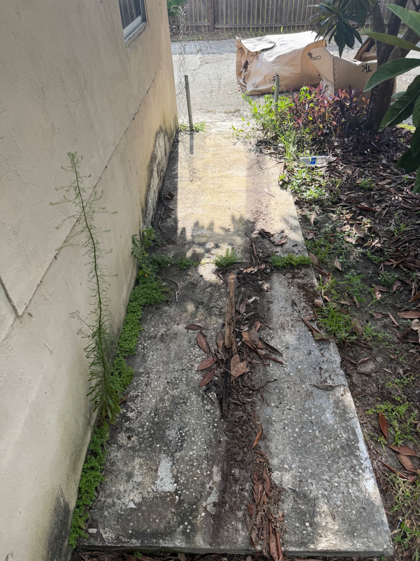 Walkway restoration before