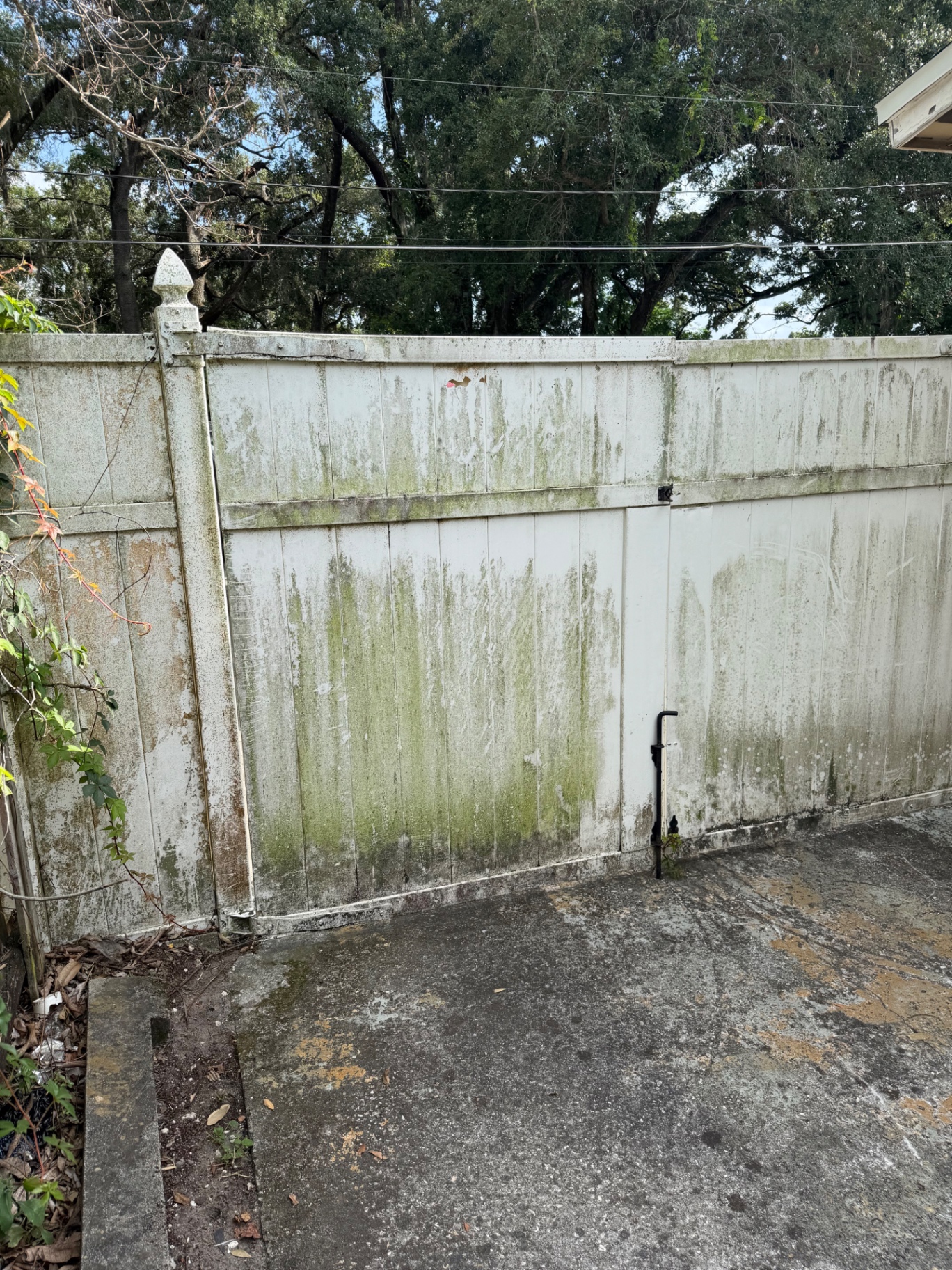 Fence pressure wash before